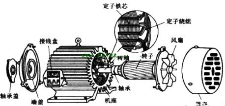 電動機原理與結(jié)構(gòu)圖,三相異步電動機